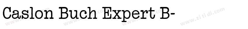 Caslon Buch Expert B字体转换 Caslon Buch Expert B字体转换